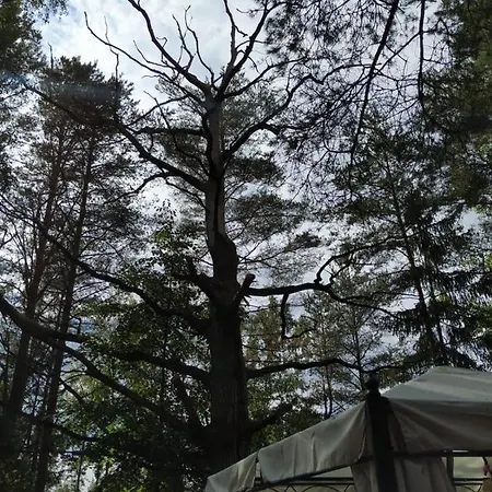 Forest Hut Bigauņciems