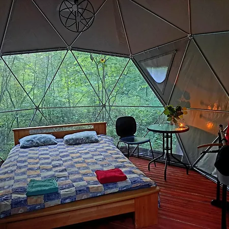 Forest Hut